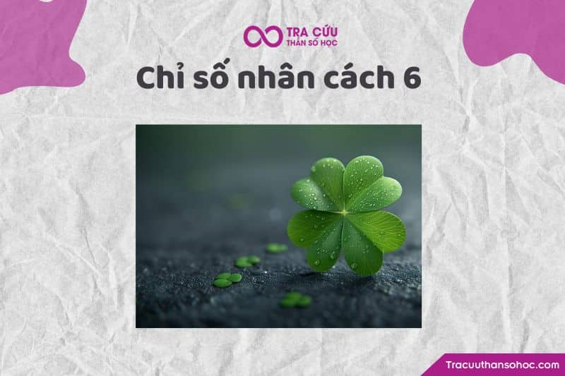 Chỉ số nhân cách 6