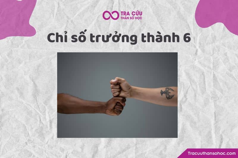 Chỉ số trưởng thành 6